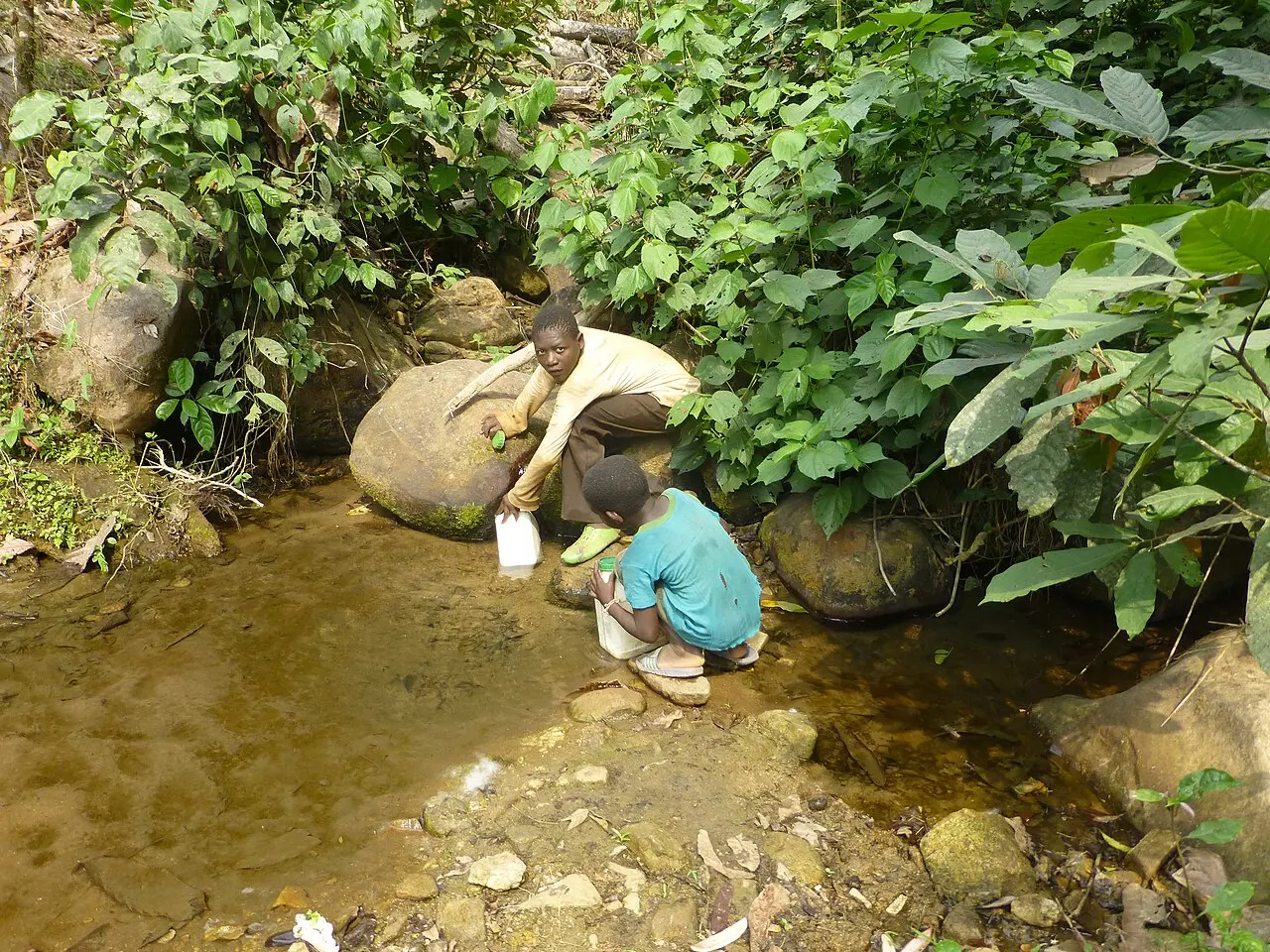 Source of drinking water for ESSIMEN village in the Mbayang Mbo Wildlife Sanctuary — photo d’illustration (eau et assainissement)