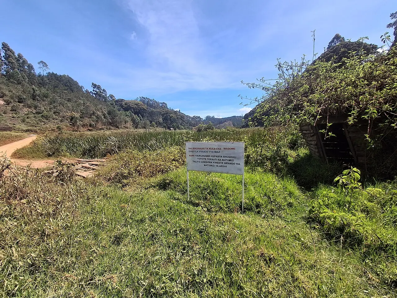 Parinari Forest, Dabaga, Kilolo District, Tanzania 20251205 105908 — photo d’illustration (forêts et faune)