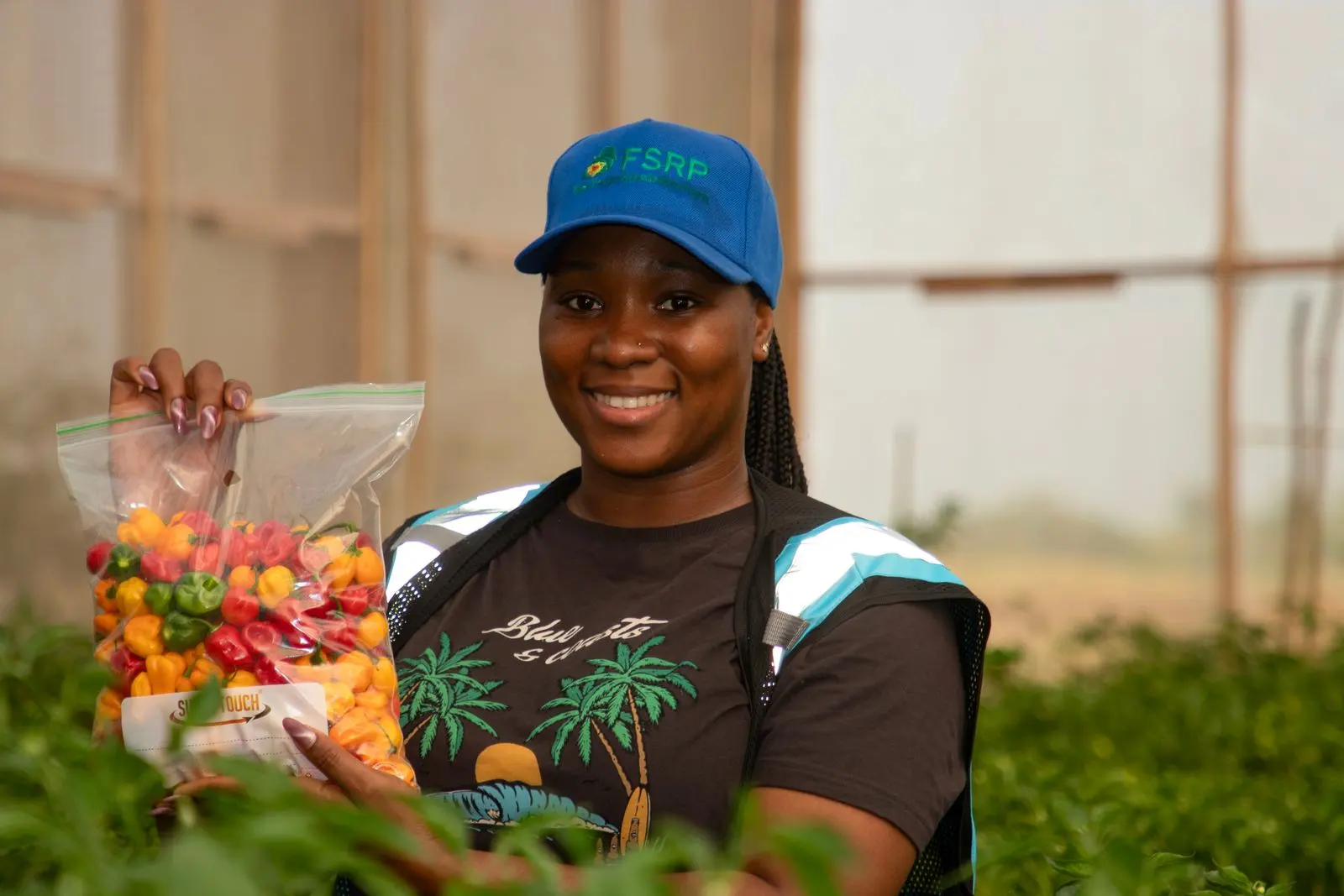 Sierra Leone hosts regional agricultural innovation meeting