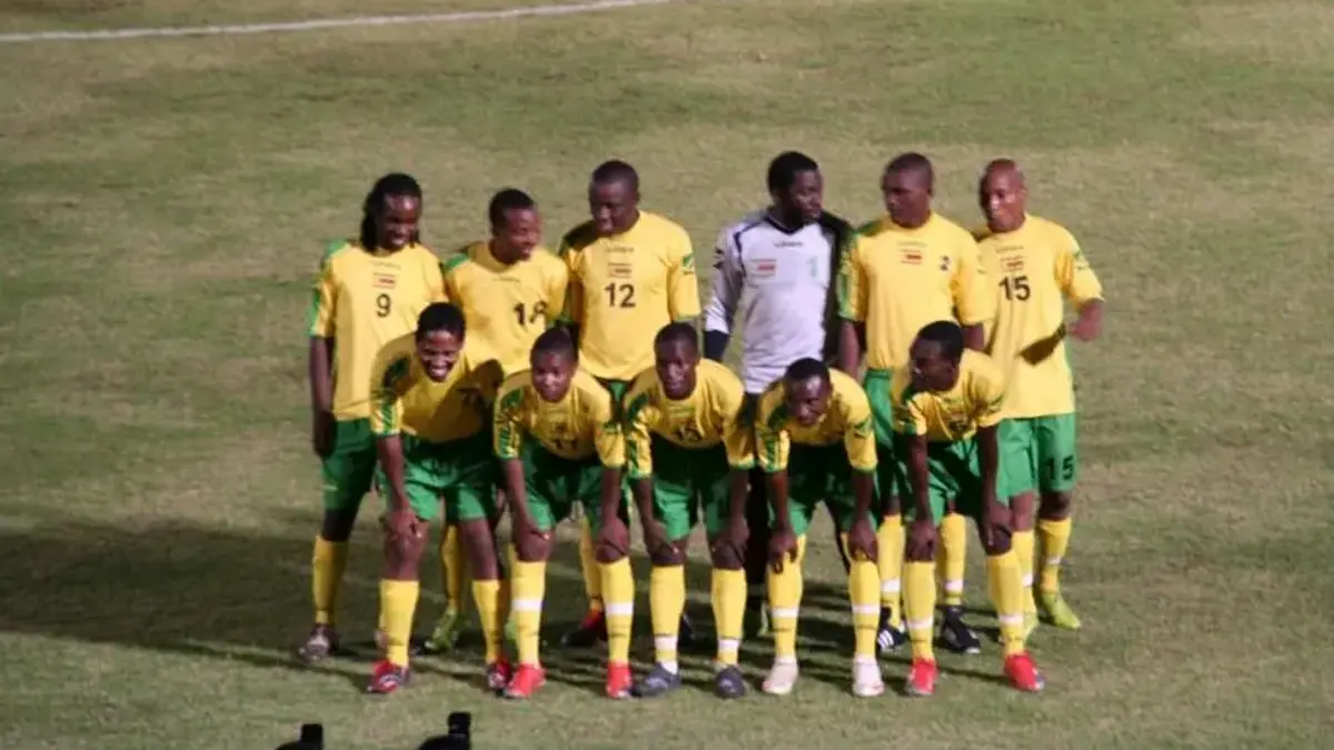 Équipe du Zimbabwe de football — illustration