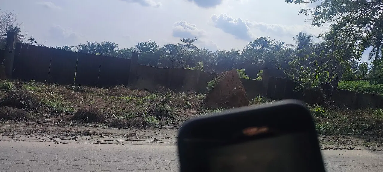 Photographing a village in Nigeria using a mobile phone — photo d’illustration (numérique)