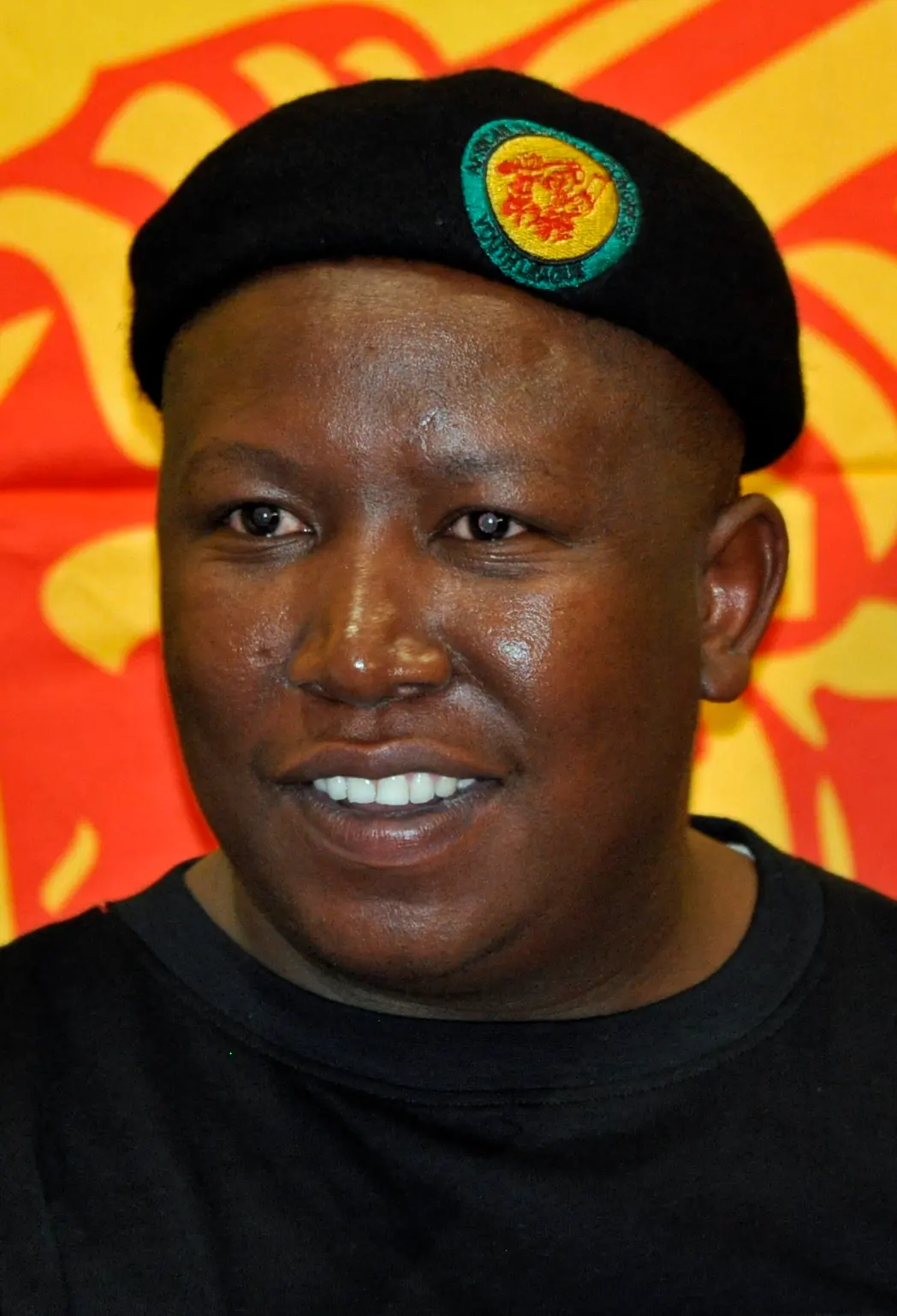 Julius Malema — illustration
