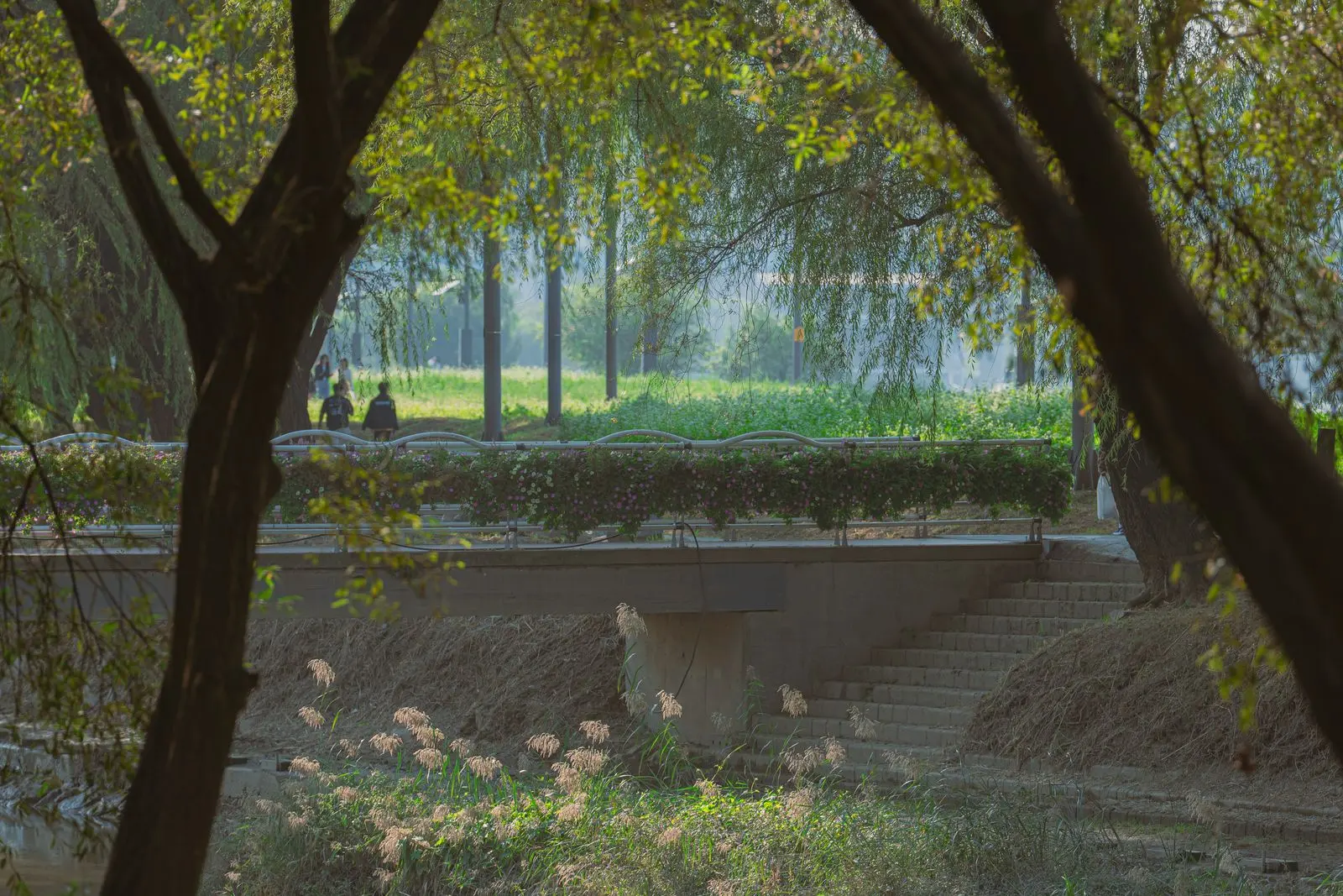 Addis Ababa redevelops its riverbanks and public spaces