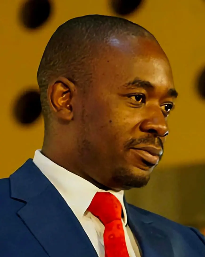 Nelson Chamisa — illustration