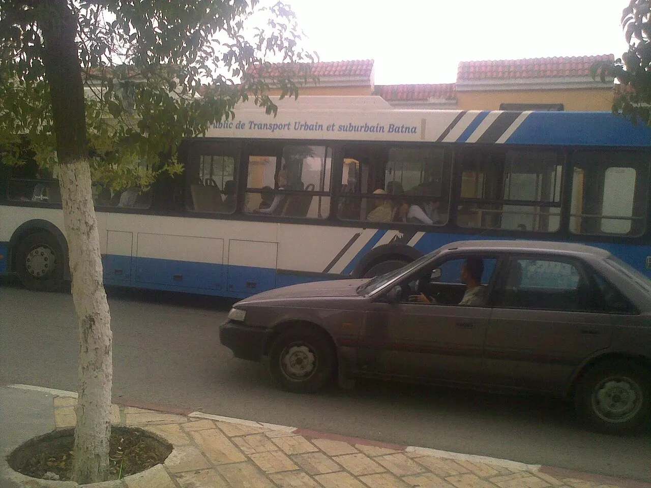 Transport urbain et suburbain de batna — photo d’illustration (transports)