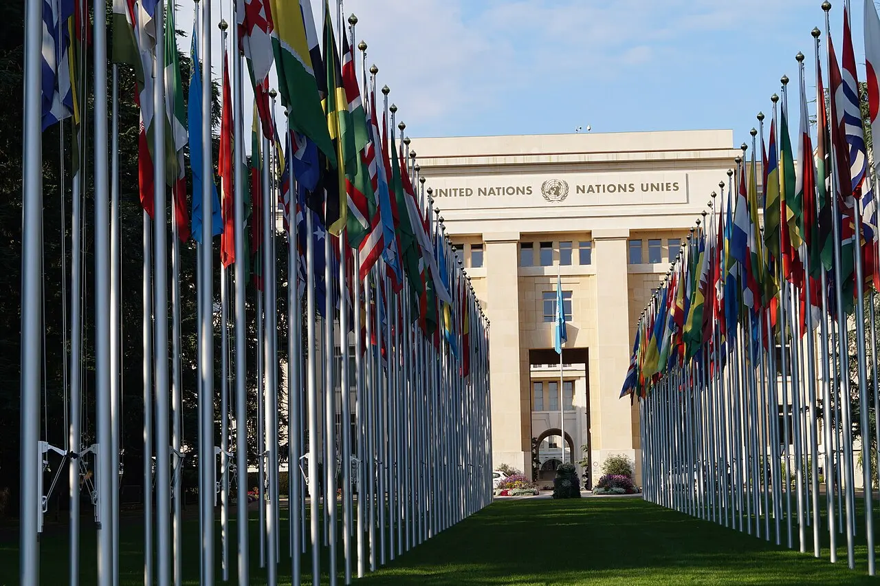 Organisation des Nations unies — illustration