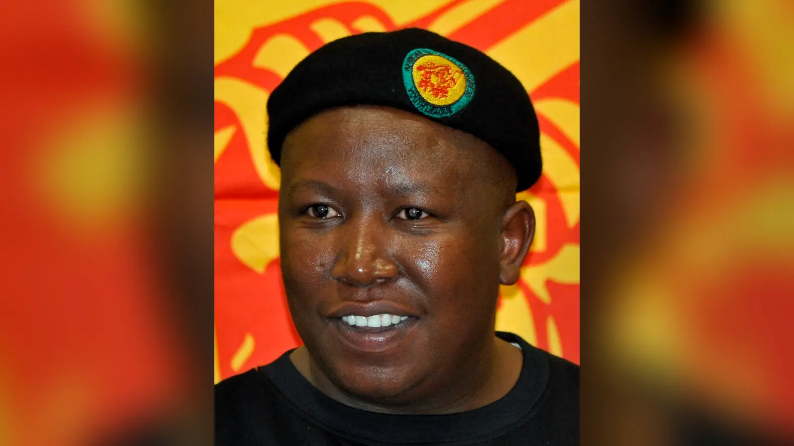 Julius Malema — illustration