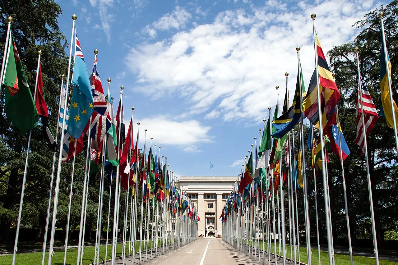Liste des institutions spécialisées des Nations unies — illustration