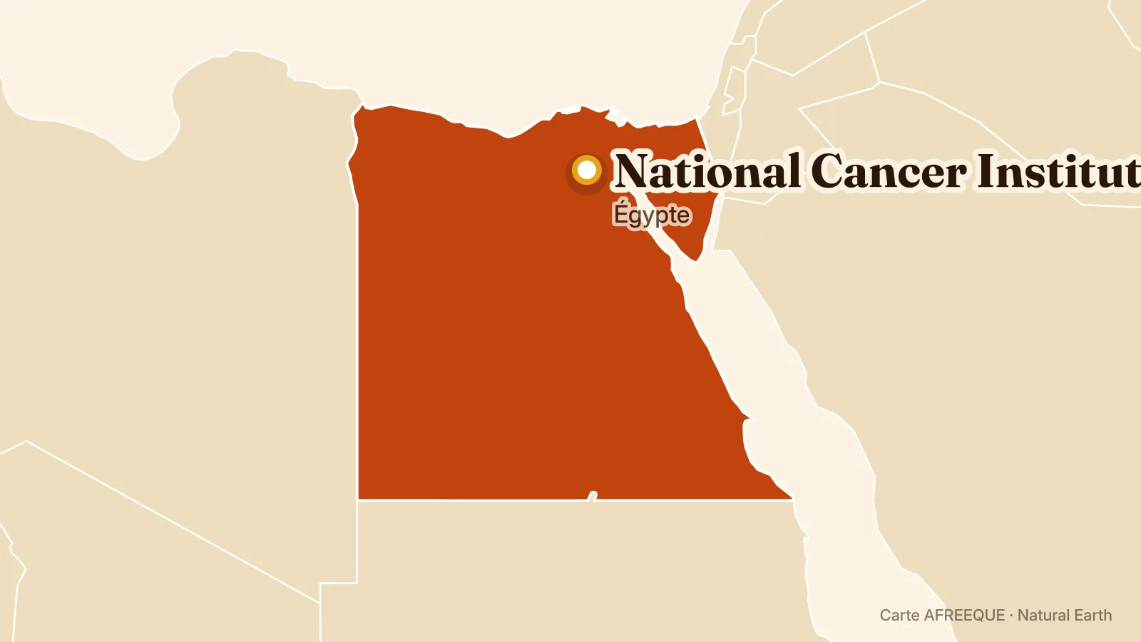 Carte : National Cancer Institute Egypt, Égypte
