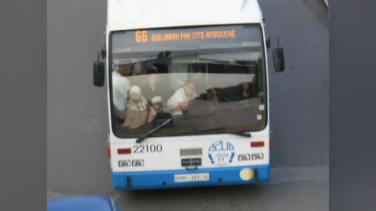 Autobus en Algérie — illustration