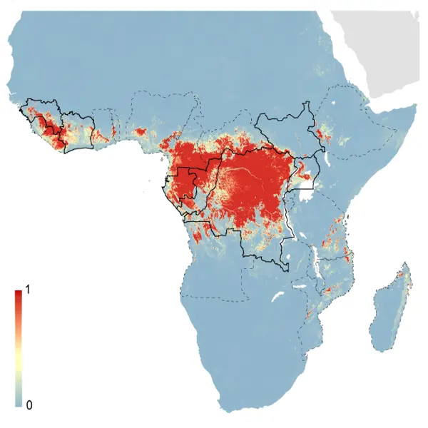 Maladie à virus Ebola — illustration