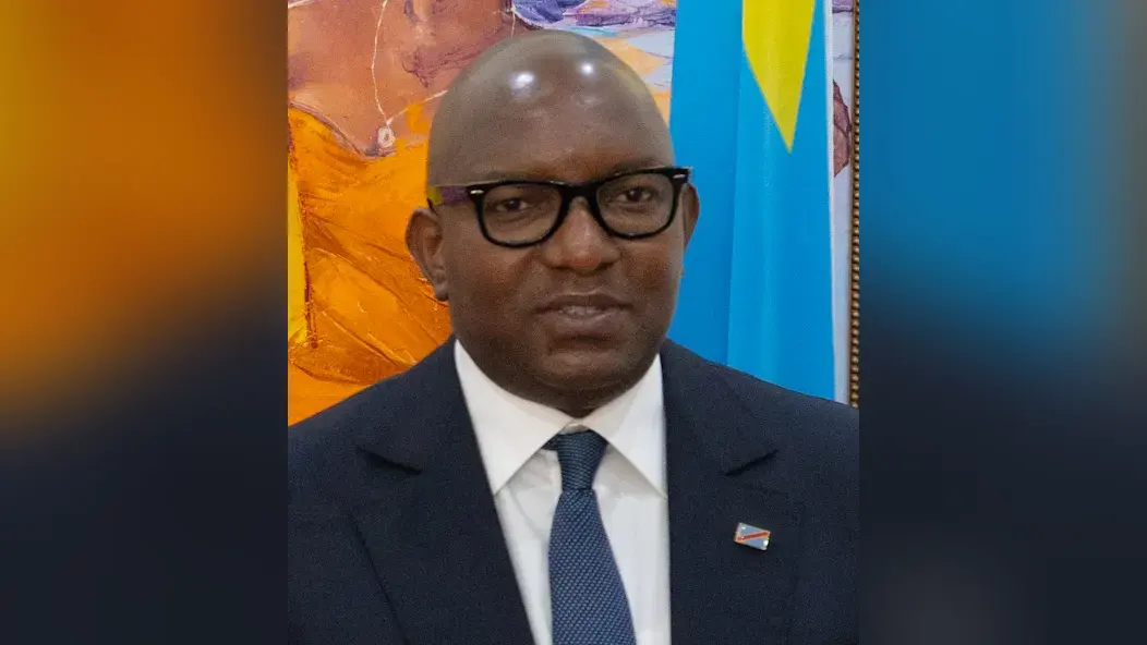 Jean-Michel Sama Lukonde Kyenge — illustration