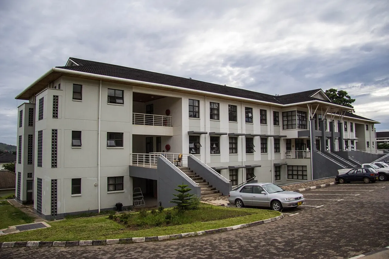 Université du Malawi — illustration